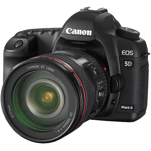 Canon 5D Mark2 with 70-300 Tamron lens