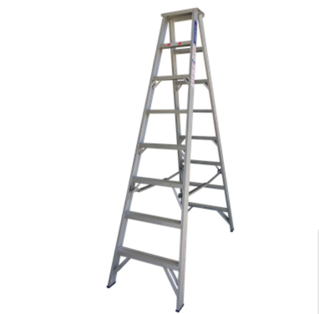 Ladder 3.0m